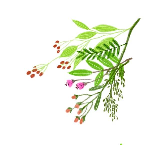 삽화