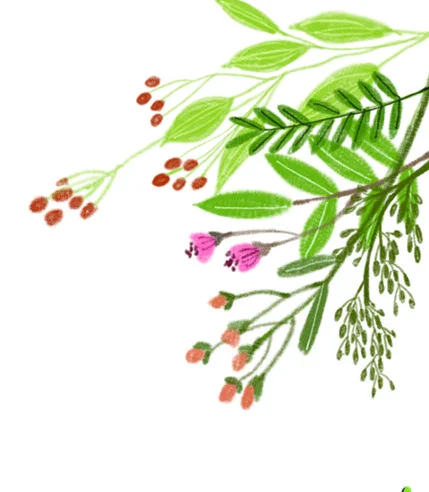 삽화
