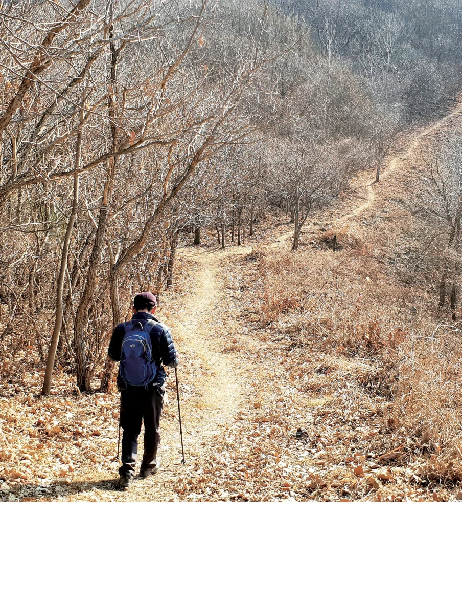 숲길을 걸으며