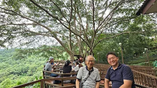 삽화