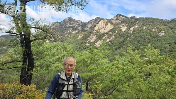 삽화