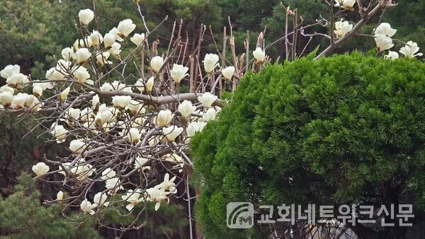 [칼럼] 십대들의 둥지...다시 한번 감사드립니다.
