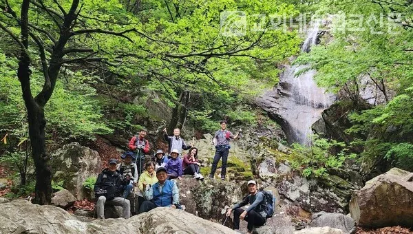 삽화