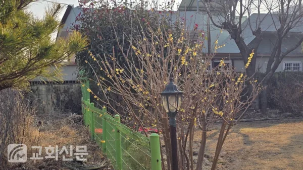 삽화