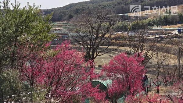 [칼럼] 세 권의 책을 읽다