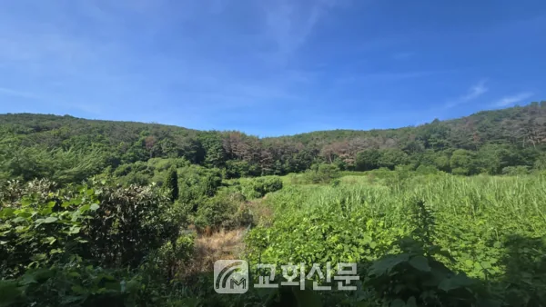 삽화