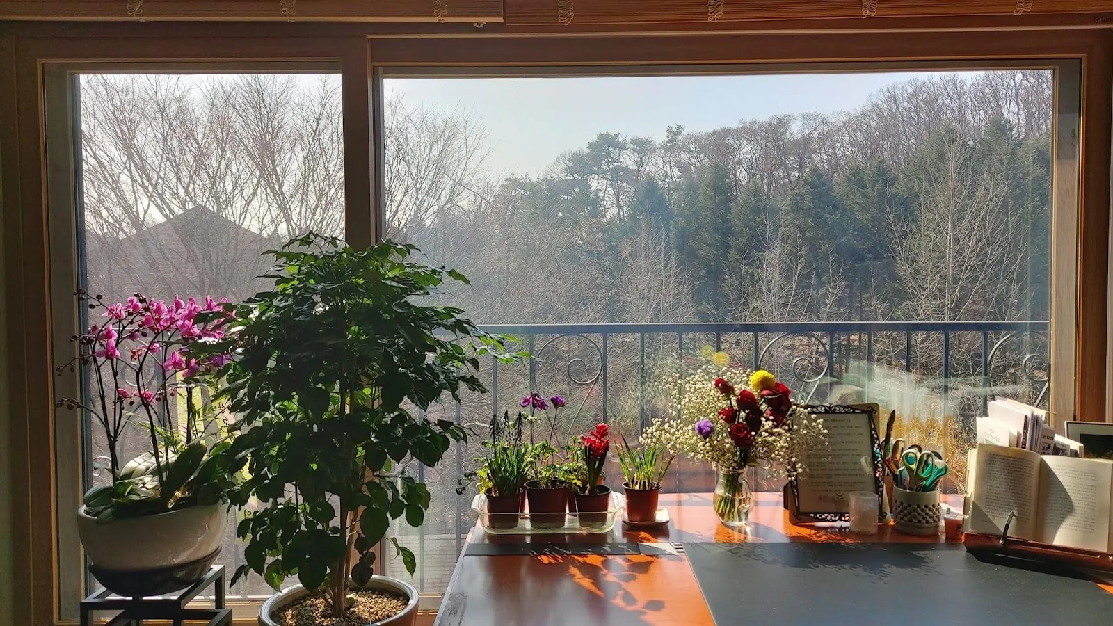 삽화