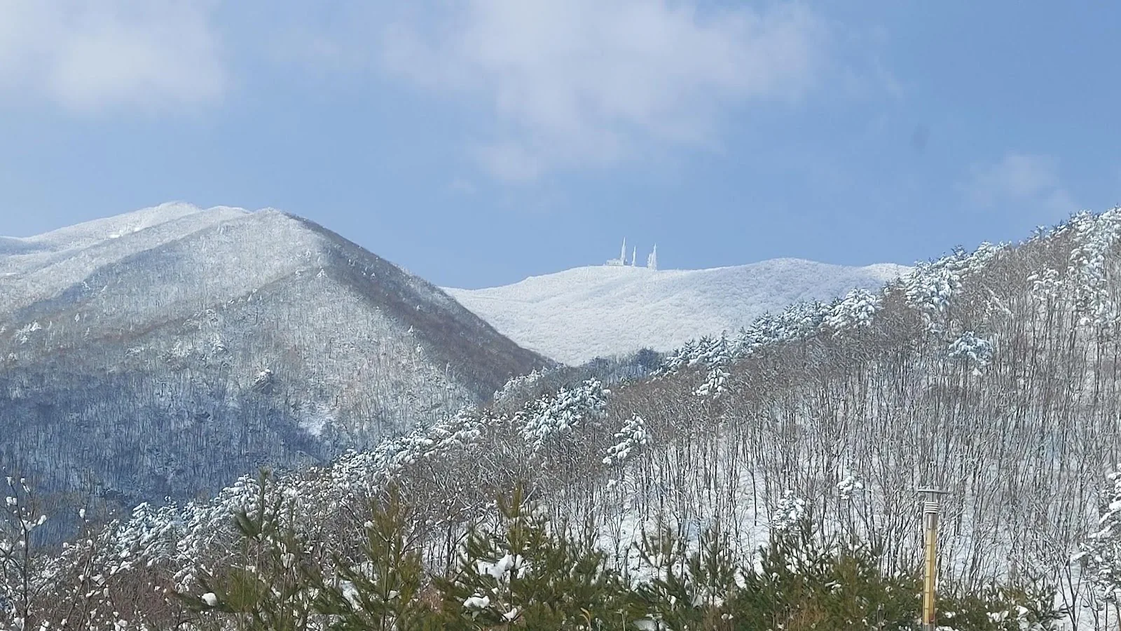 [오피니언] 감사합니다^^