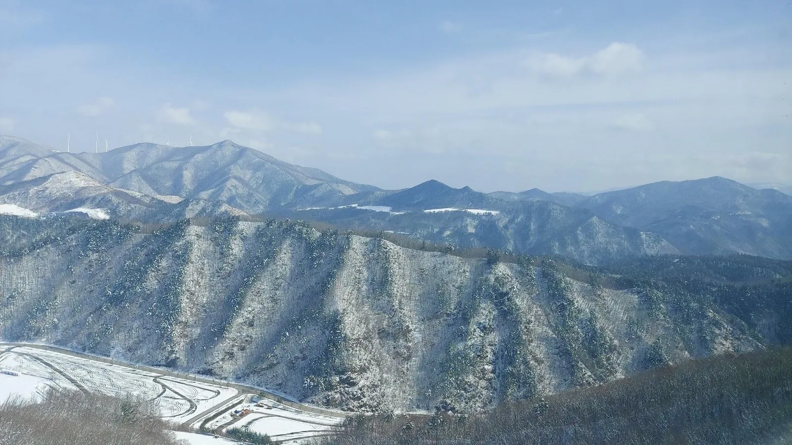삽화