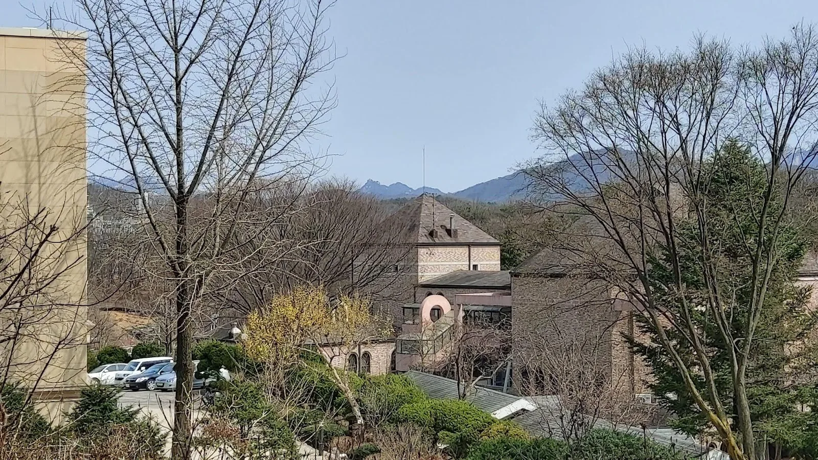 삽화