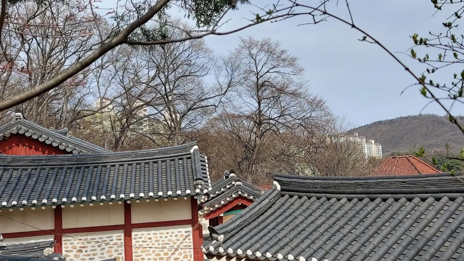삽화