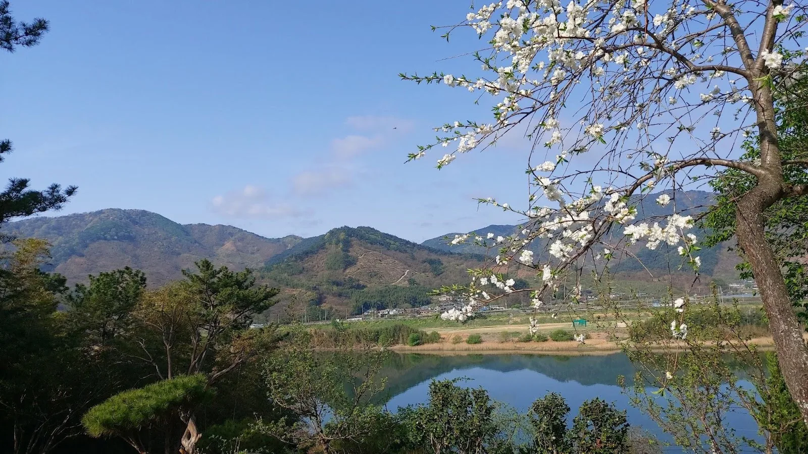 [오피니언] 수고하셨습니다.