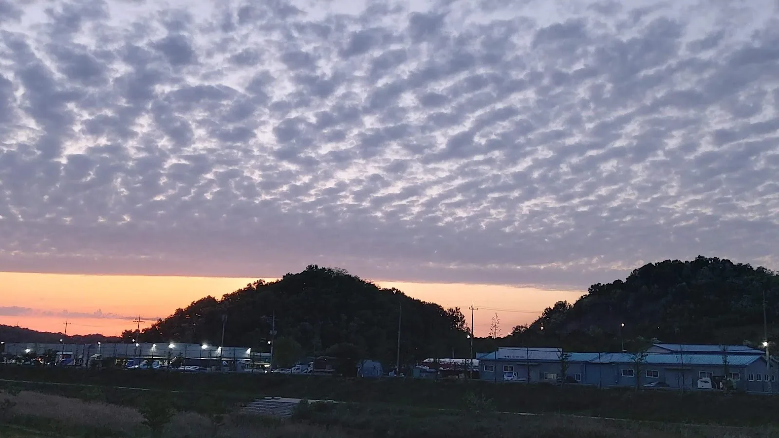 삽화