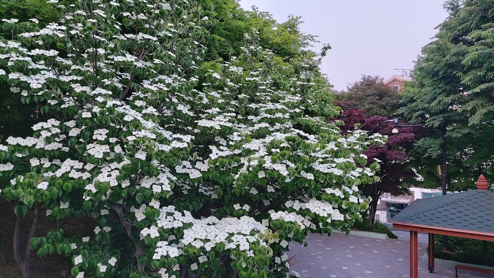 [오피니언] 대동단결(大同團結)