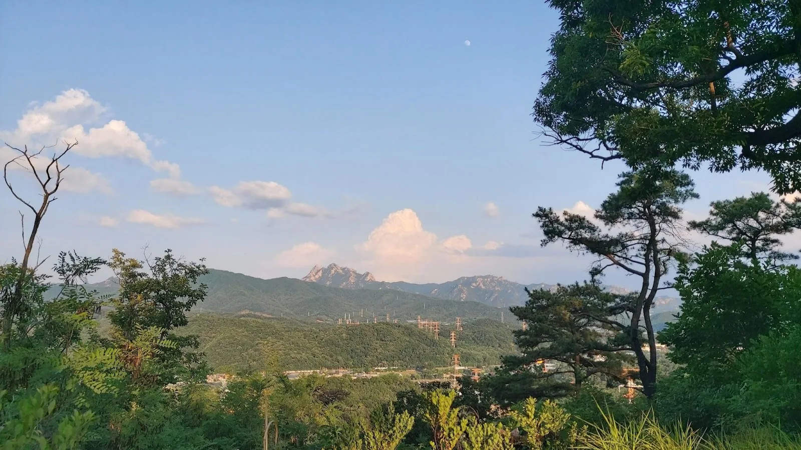 [오피니언] 감사의 보따리