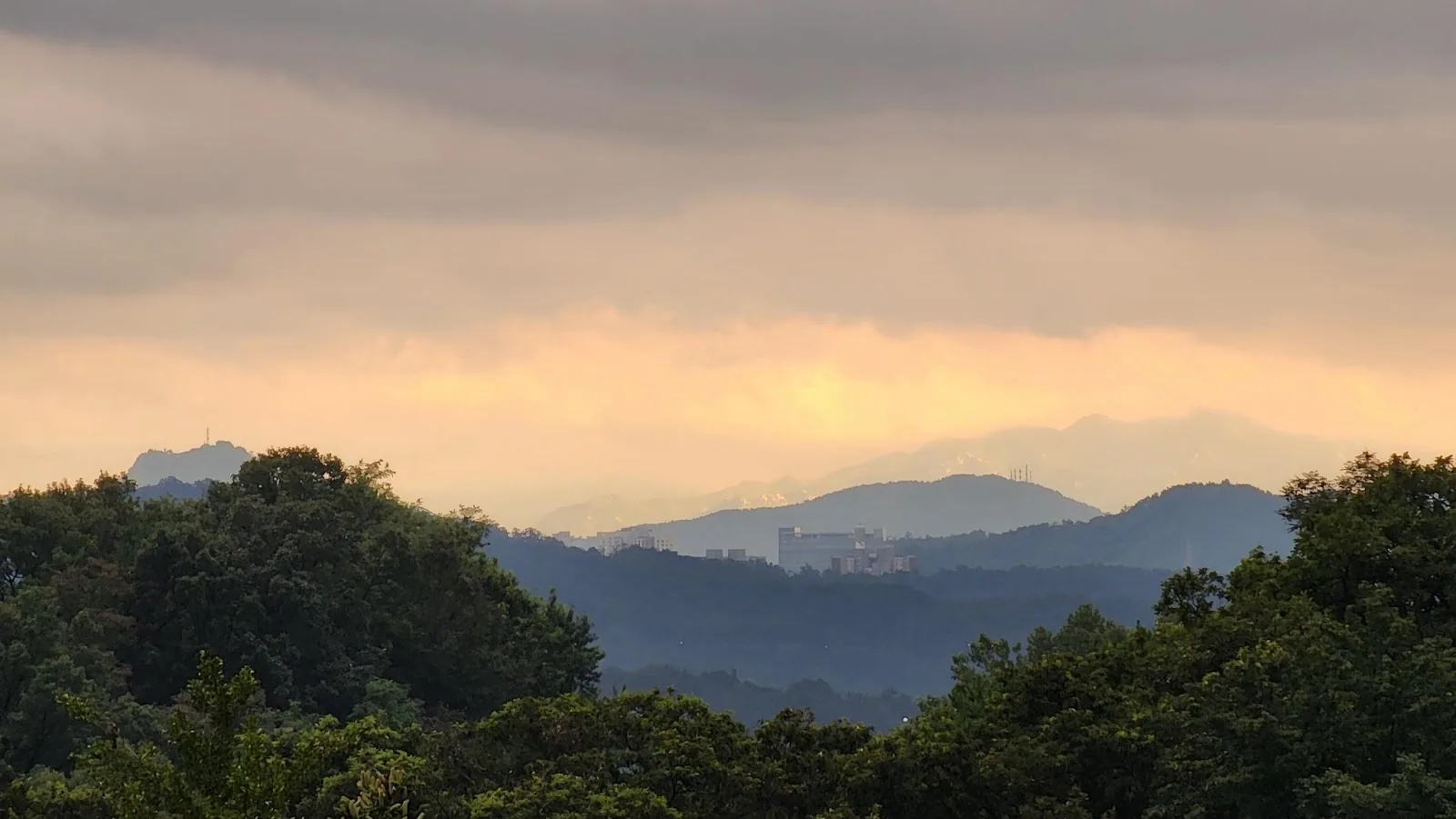 삽화