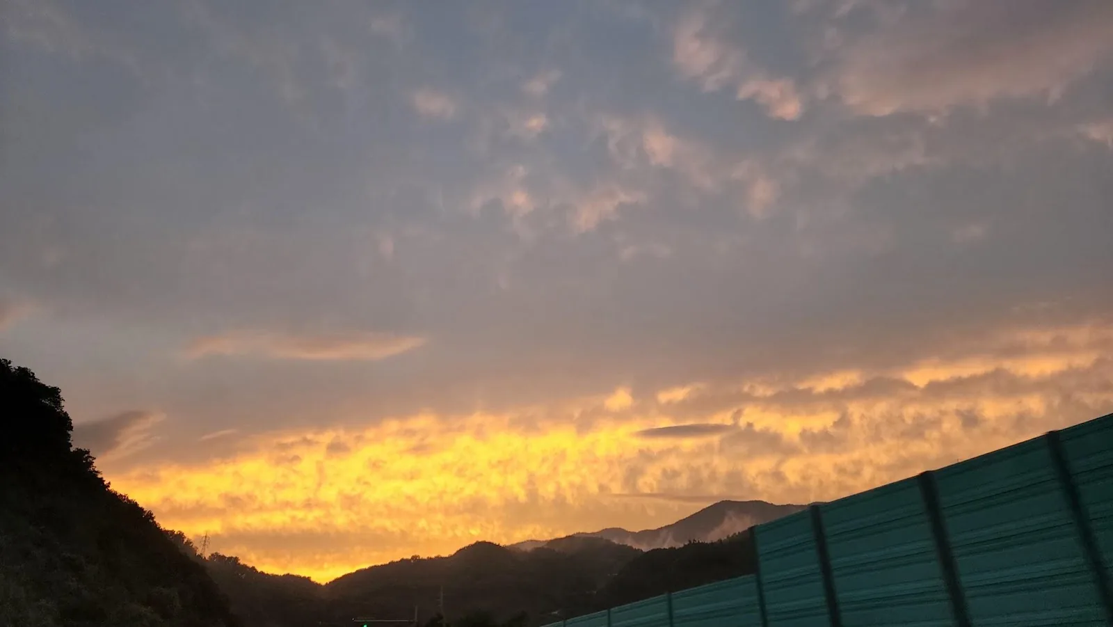 삽화
