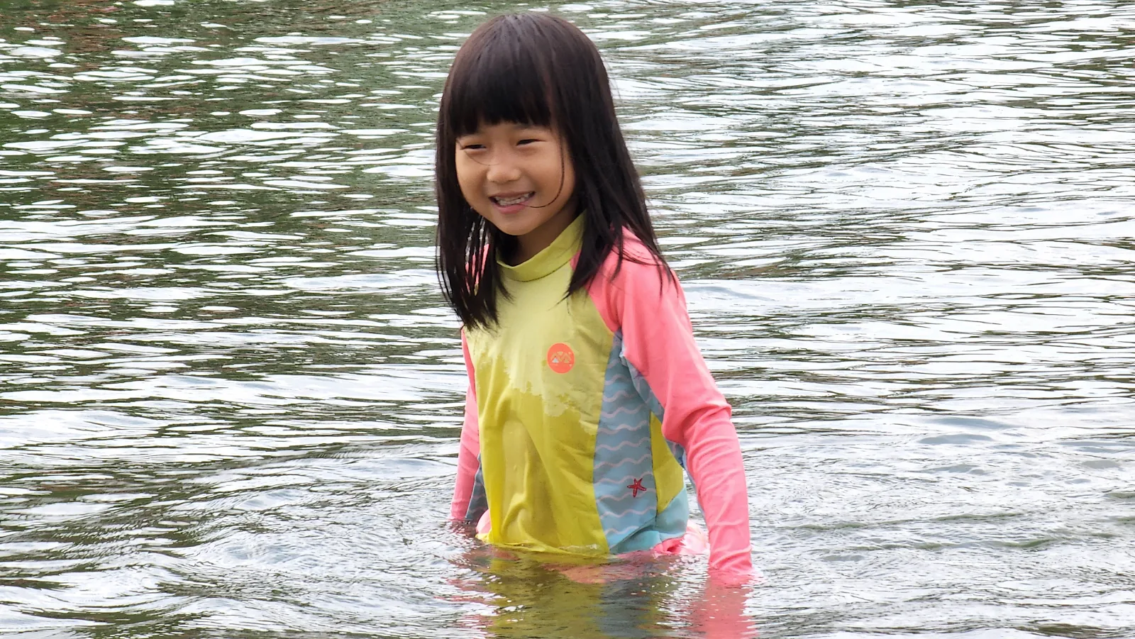 삽화