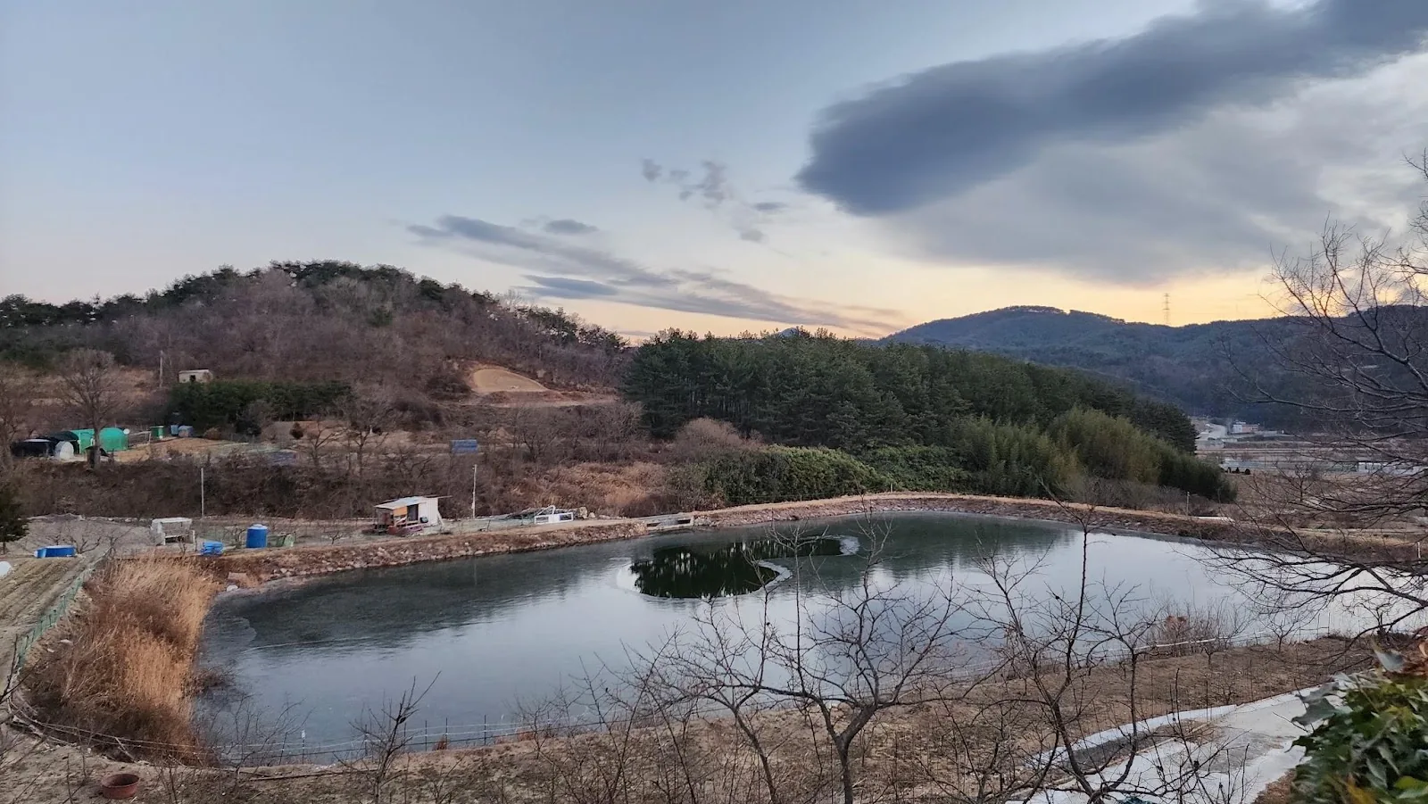 삽화