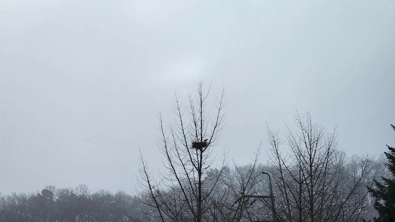 [오피니언] 잡목을 백향목처럼
