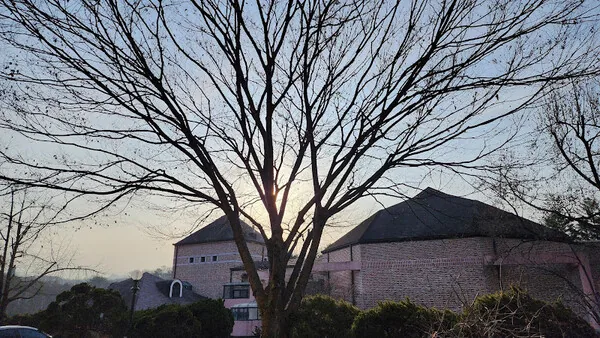 삽화