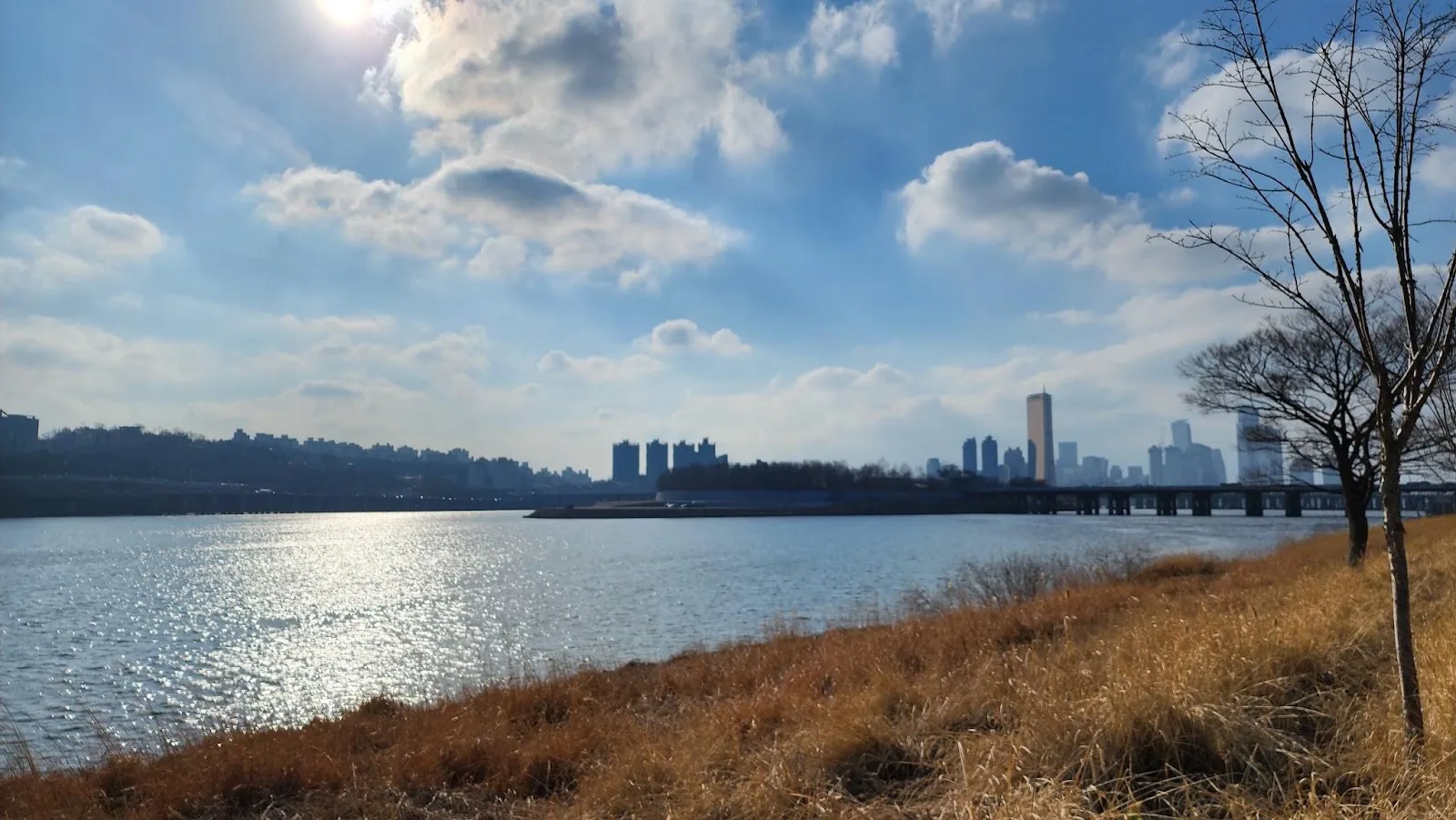 삽화