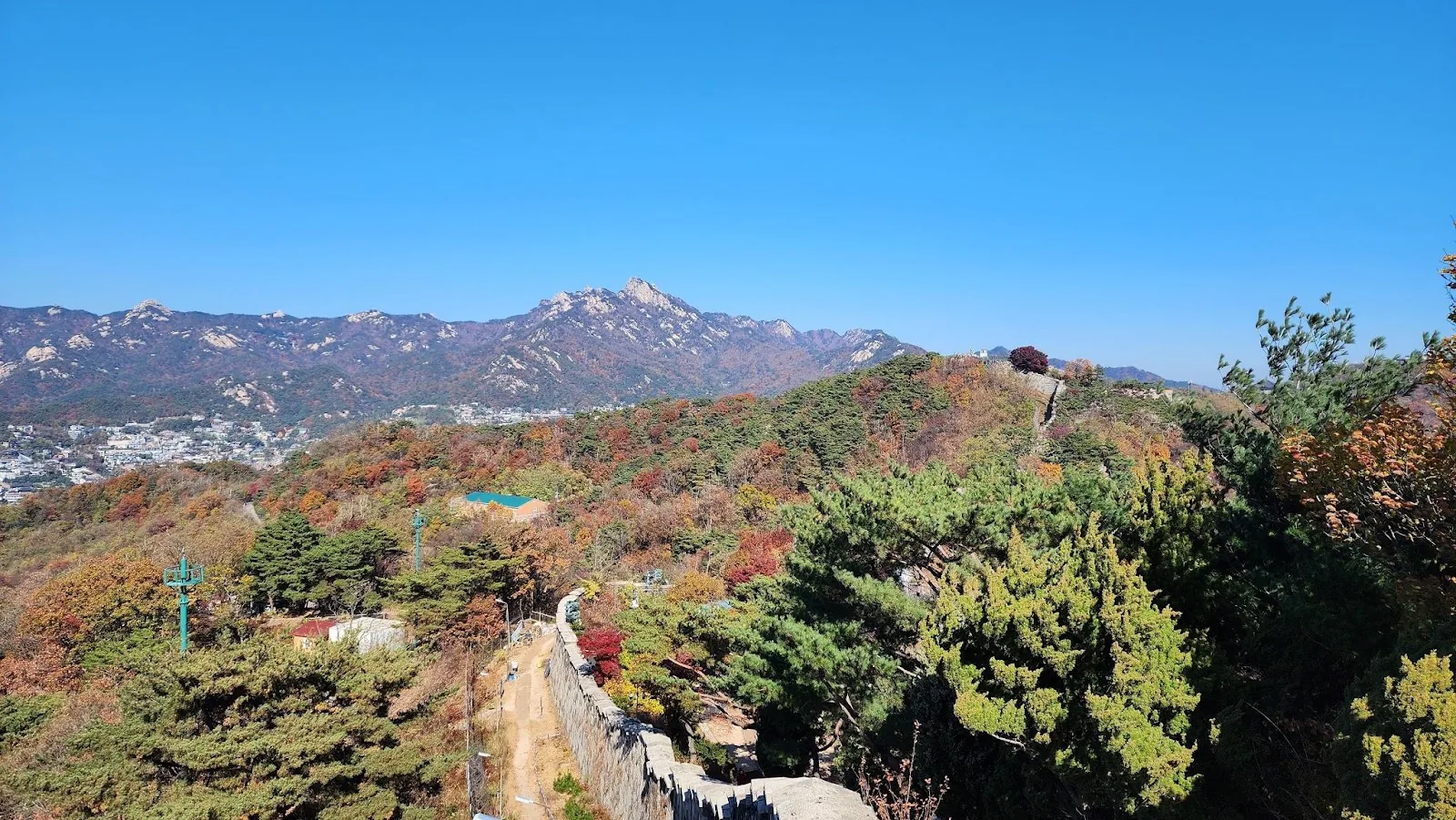 삽화