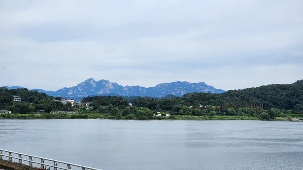 삽화
