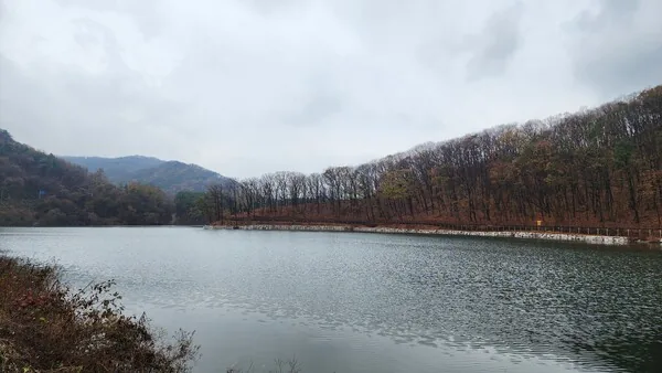 한 걸음씩 더 가까이