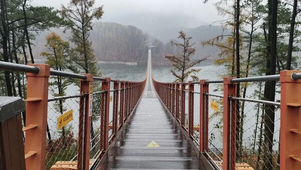 삽화