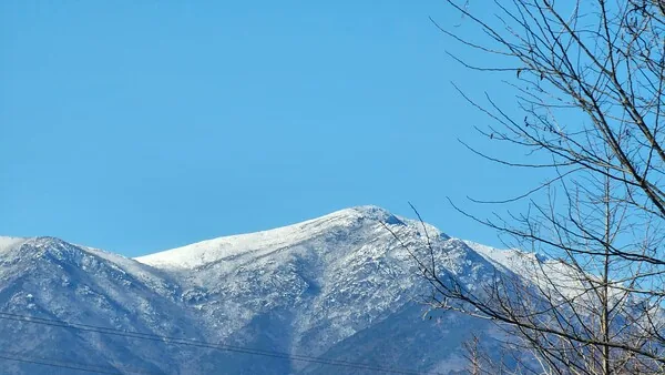 삽화