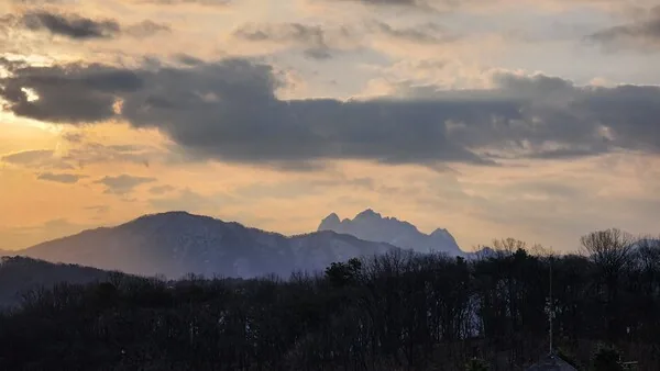 삽화