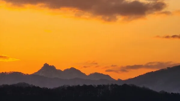 삽화