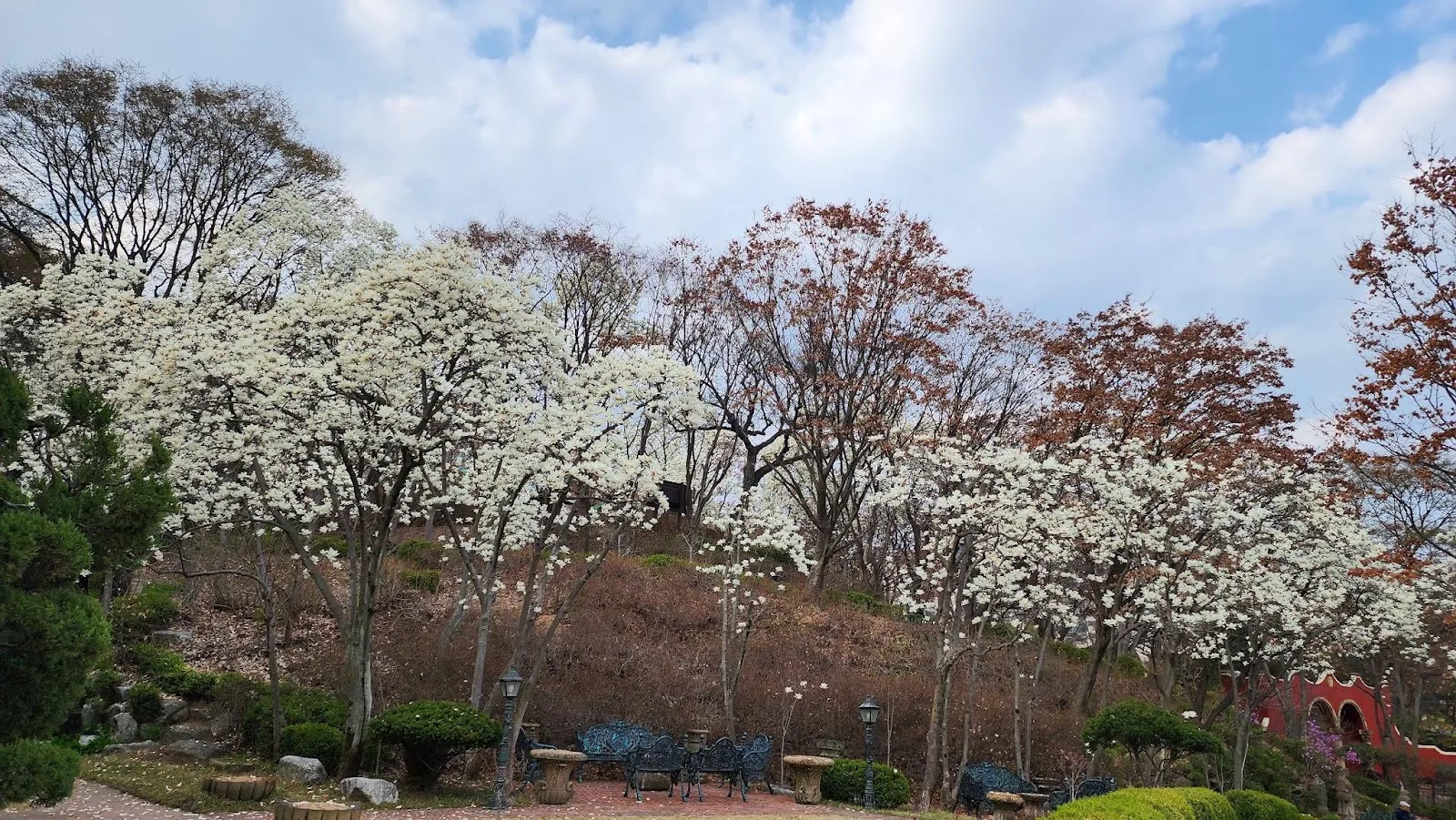 삽화