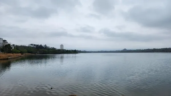 삽화