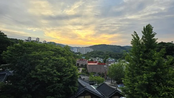 삽화