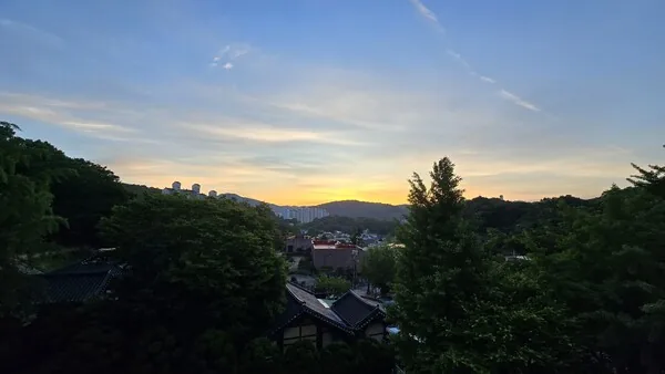 삽화