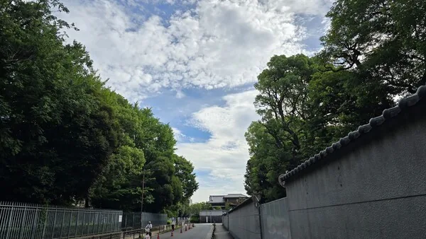 삽화