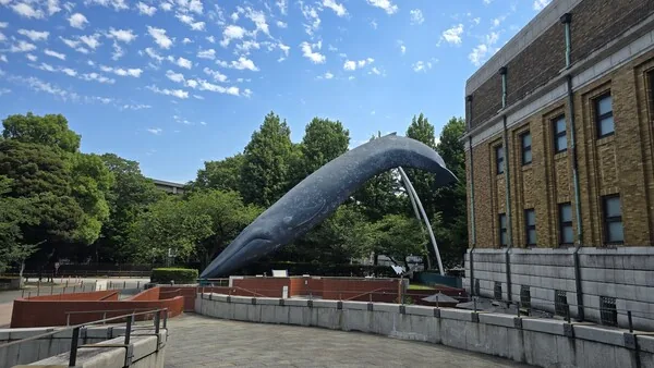 삽화