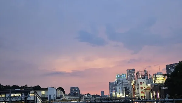 삽화