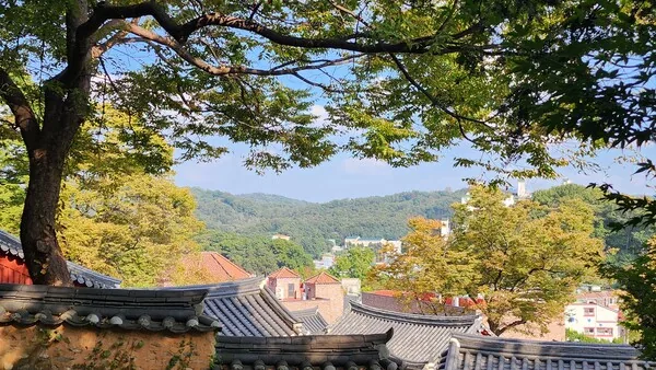 가을이 오다