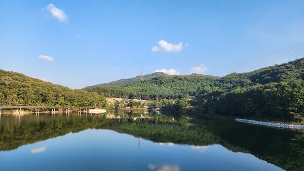 삽화