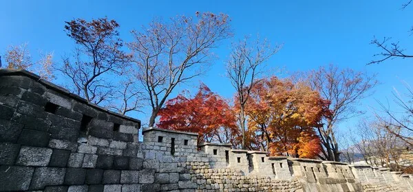 공평과 정의