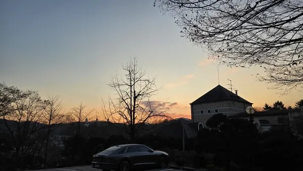 삽화