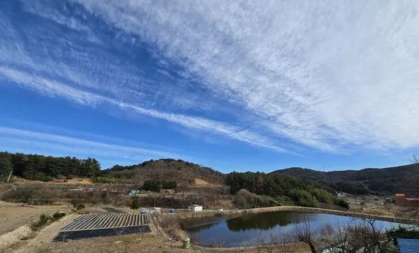울산을 다녀오다