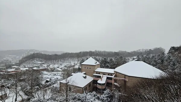 삽화