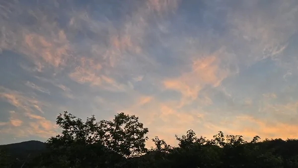 삽화