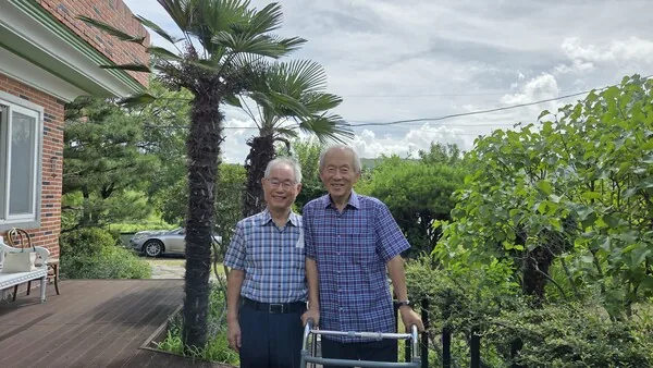 삽화
