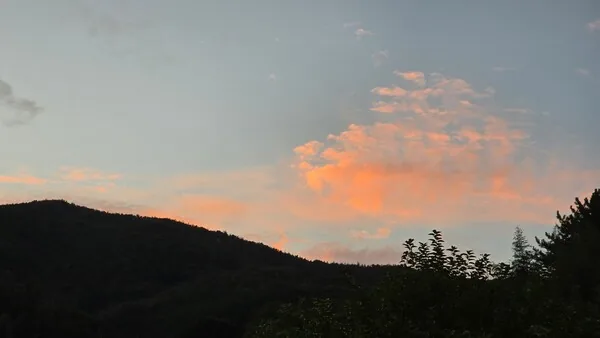 삽화