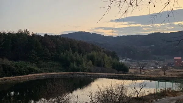 다섯 달을 되돌아보며